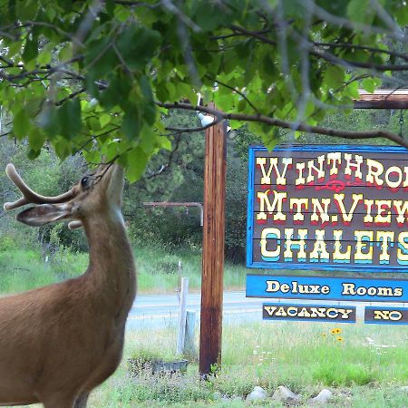 Winthrop Mountain View Chalets Экстерьер фото